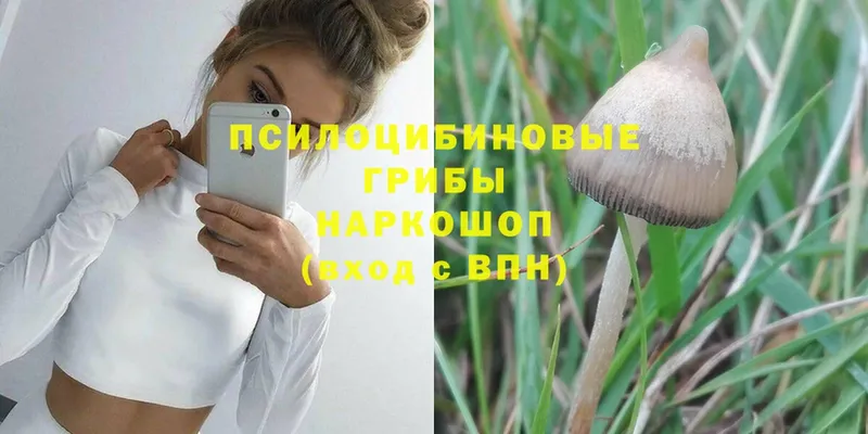 купить наркоту  Инта  Галлюциногенные грибы Magic Shrooms 